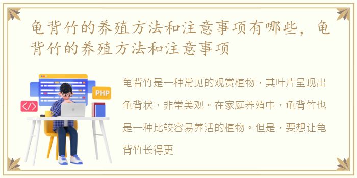 龟背竹的养殖方法和注意事项有哪些，龟背竹的养殖方法和注意事项