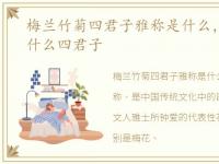 梅兰竹菊四君子雅称是什么，梅兰竹菊是什么四君子