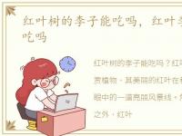 红叶树的李子能吃吗，红叶李子树果实能吃吗