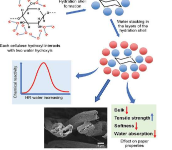 研究水作为溶剂的基本原理可以产生更环保的纤维素基产品
