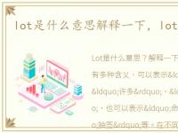 lot是什么意思解释一下，lot是什么意思