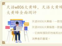 天语w806大黄蜂，天语大黄蜂怎么样?天语大黄蜂全面测评