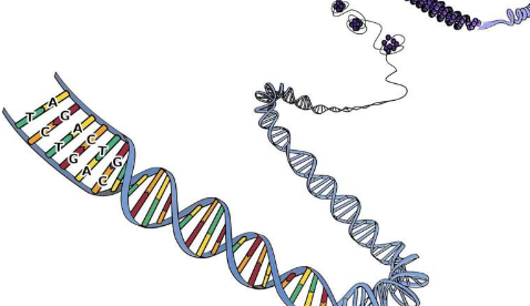 能够密切模拟单细胞和空间基因组学数据的基准测试工具