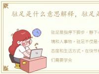 驻足是什么意思解释，驻足是什么意思