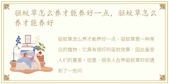 驱蚊草怎么养才能养好一点，驱蚊草怎么养才能养好