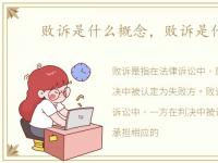 败诉是什么概念，败诉是什么意思