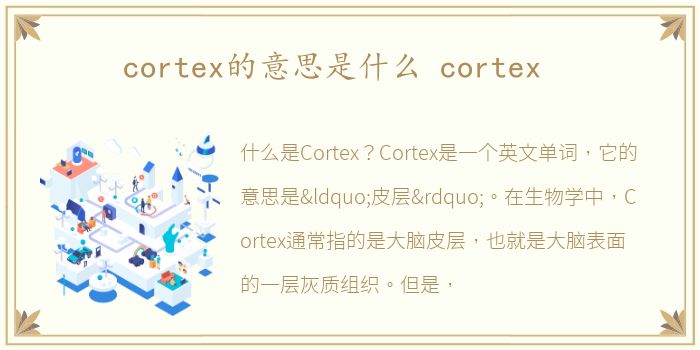 cortex的意思是什么 cortex