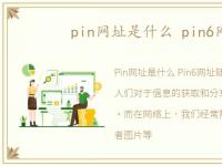 pin网址是什么 pin6网址