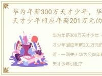 华为年薪300万天才少年，华为年薪201万天才少年回应年薪201万元的天才少年都是谁