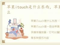 苹果itouch是什么东西，苹果itouch是什么