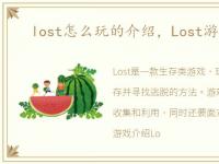 lost怎么玩的介绍，Lost游戏怎么玩