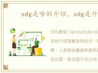 sdg是啥的介绍，sdg是什么意思