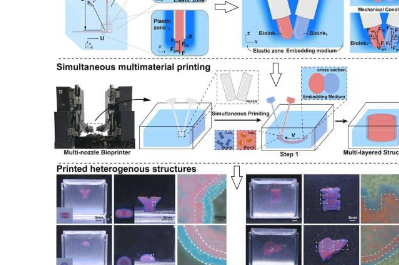 用于3D异质结构的同步多材料嵌入式打印