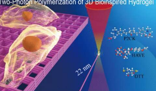 研究人员使用生物相容性水凝胶光刻胶实现更高的精度