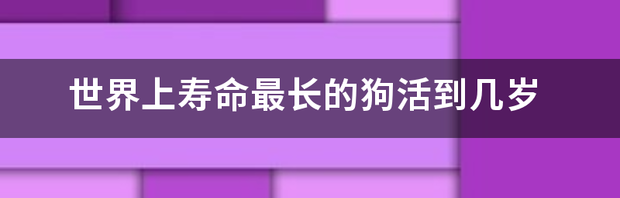 世界上寿命最长的狗活到几岁 寿命最长的狗世界纪录