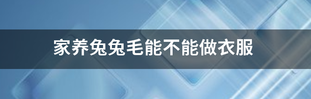 家养兔兔毛能不能做衣服 三种人不能养兔