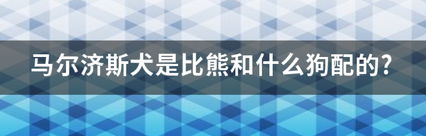 马尔济斯犬好，还是比熊好？ 马尔济斯犬和比熊的区别