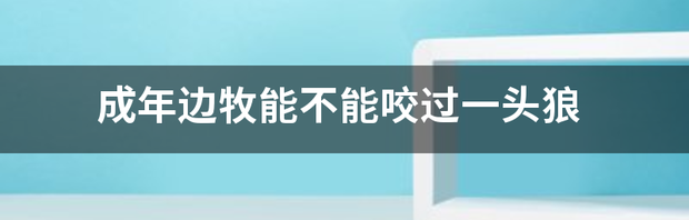 成年边牧能不能咬过一头狼 成年边牧越打越凶还咬主人