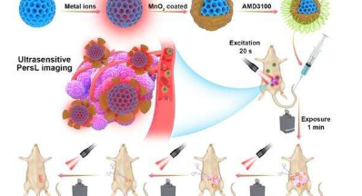 开发用于超灵敏图像引导肿瘤切除术的近红外持久发光纳米探针