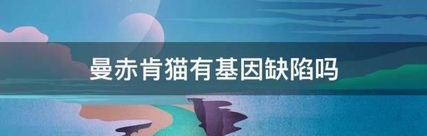 曼赤肯猫有基因缺陷吗 曼赤肯猫市场价