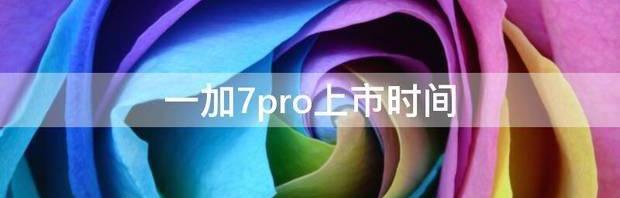 一加7pro上市时间？ 一加7pro上市时间