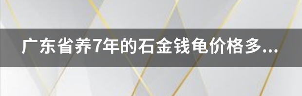 石金钱龟的价值如何？ 石金钱龟价格