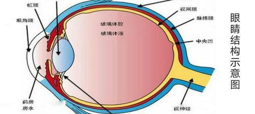 白内障不手术怎么治疗？ 白内障的治疗方法