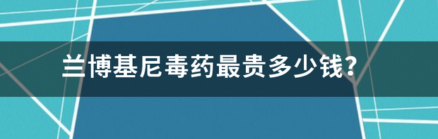 兰博基尼毒药跟兰博基尼有什么区别？ 兰博基尼毒药多少钱