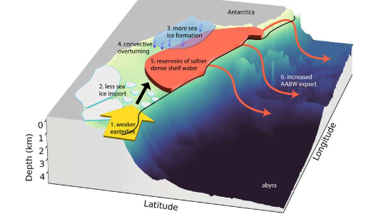 研究表明风是南极深水形成和地球海洋环流的主要驱动力