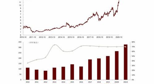 有限公司和有限责任公司破产后债务谁承担 有限责任倒闭剩下债务谁承担