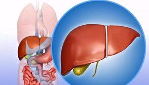 肝病都有哪些早期症状？ 肝病早期可能有6个征兆