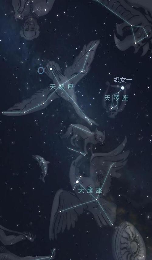 牛郎星和织女星属于哪个星系？ 牛郎星属于天琴座吗