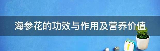 海参的功效与作用是什么？ 海参的功效与作用及营养