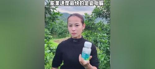 氯吡脲加赤霉素在红薯上的用法？ 氯吡脲的作用