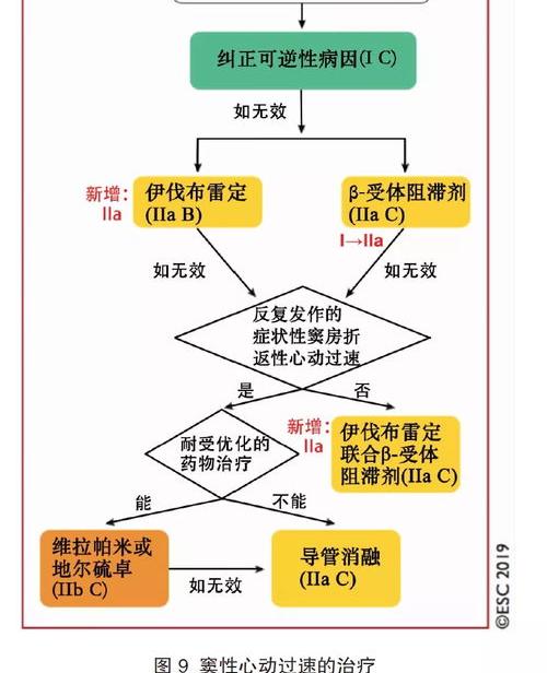 钙拮抗剂详细资料大全 二氢吡啶类钙通道阻滞剂构效关系