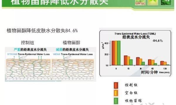 雀巢怡养中老年奶粉中的植物甾醇酯是什么东西啊，有啥作用吗？ 植物甾醇酯的作用的功效与作用