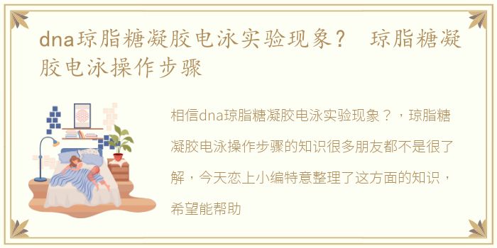 dna琼脂糖凝胶电泳实验现象？ 琼脂糖凝胶电泳操作步骤