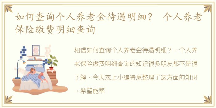 如何查询个人养老金待遇明细？ 个人养老保险缴费明细查询