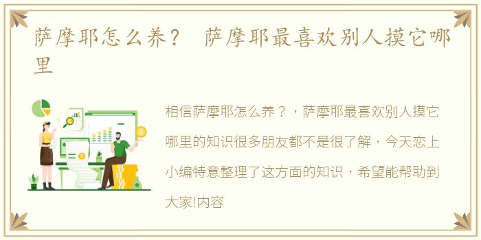 萨摩耶怎么养？ 萨摩耶最喜欢别人摸它哪里