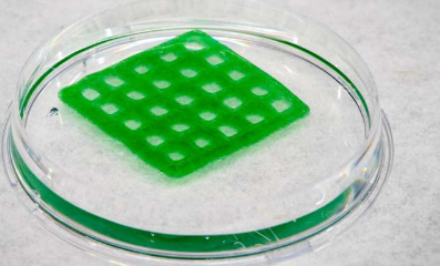 3D打印的生命材料可以净化受污染的水