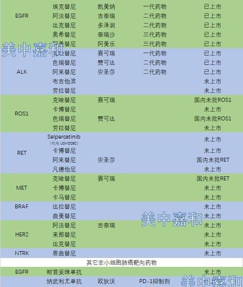 肺癌靶向药有什么？ 克唑替尼是哪个公司的