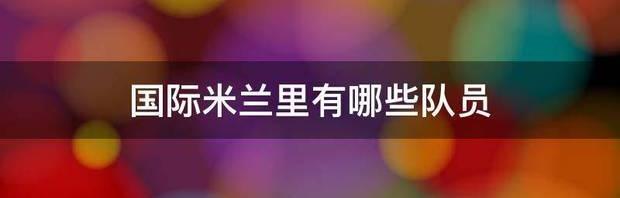 国际米兰里有哪些队员 加利亚尔迪尼