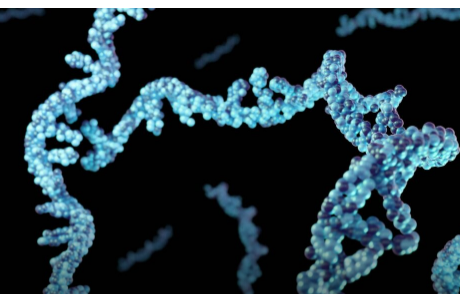 mRNA先驱荣获2023年诺贝尔生理学或医学奖
