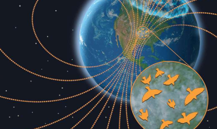 研究发现太空天气扰乱夜间鸟类迁徙