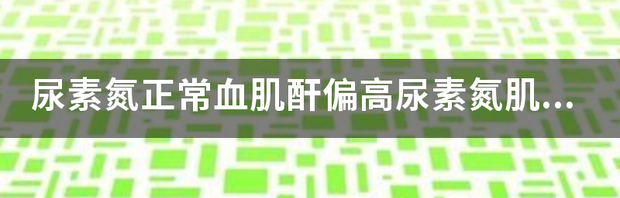 请问尿素氮7.52偏高，球蛋白36.7偏高，总蛋白86.5偏高，肌酐66.2正常，尿检也都正常，请问是什么情况？ 尿素氮偏高肌酐正常