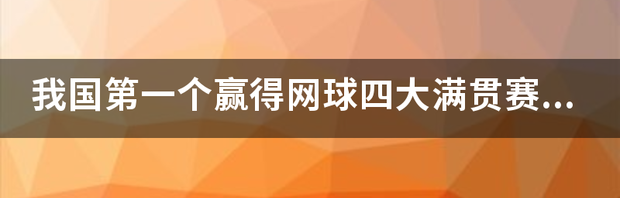 求2002到2010网球四大满贯冠军得主 网球四大满贯历届冠军