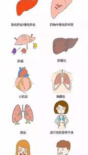 儿童碱性磷酸酶偏高 儿童碱性磷酸酶550偏高