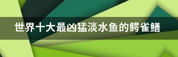 世界十大最凶猛淡水鱼的鳄雀鳝 世界十大最凶猛淡水鱼