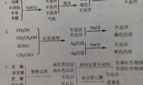 今年诺的贝尔化学奖 dppp是什么试剂