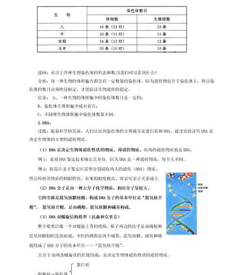 核酸的化学结构式是什么？ 鸟嘌呤脱氧核苷酸的结构式